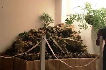 Alegría en El Roque Azucarero en la bienvenida a la Navidad (Foto TA)